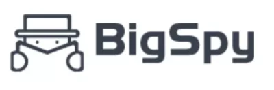 BigSpy Logo