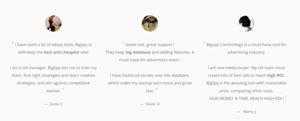 BigSpy Customer Reviews