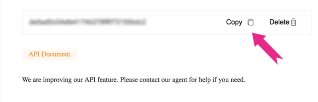 Copy API Key