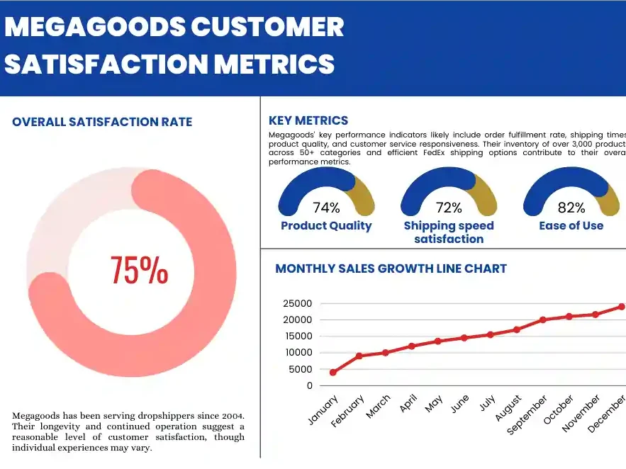 Megagoods Customer Satisfaction Metrics