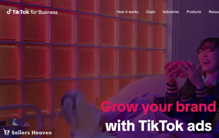 TikTok For Business Review