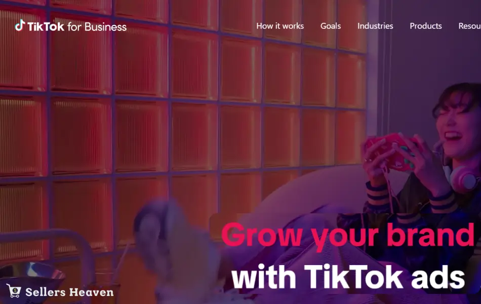 TikTok For Business Review